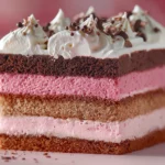Neapolitan Cake